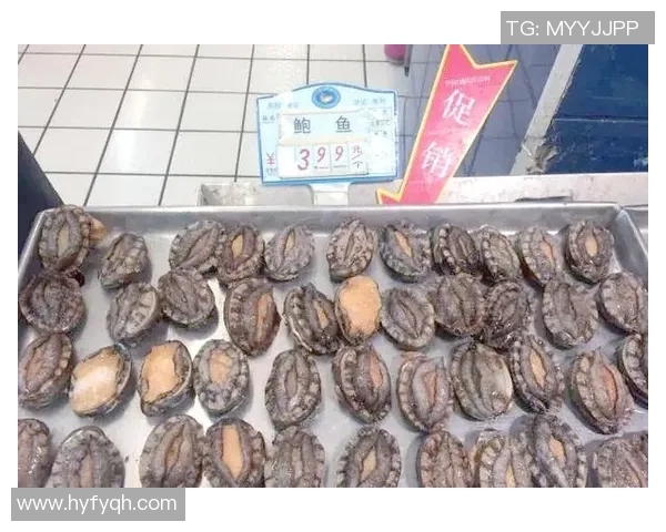 台球运动发展历程与技巧解析:从基础入门到职业比赛的全面探讨 台球运动发展历程与技巧解析:从基础入门到职业比赛的全面探讨